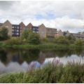 Timber Basin has fantastic views over the Forth & Clyde Canal