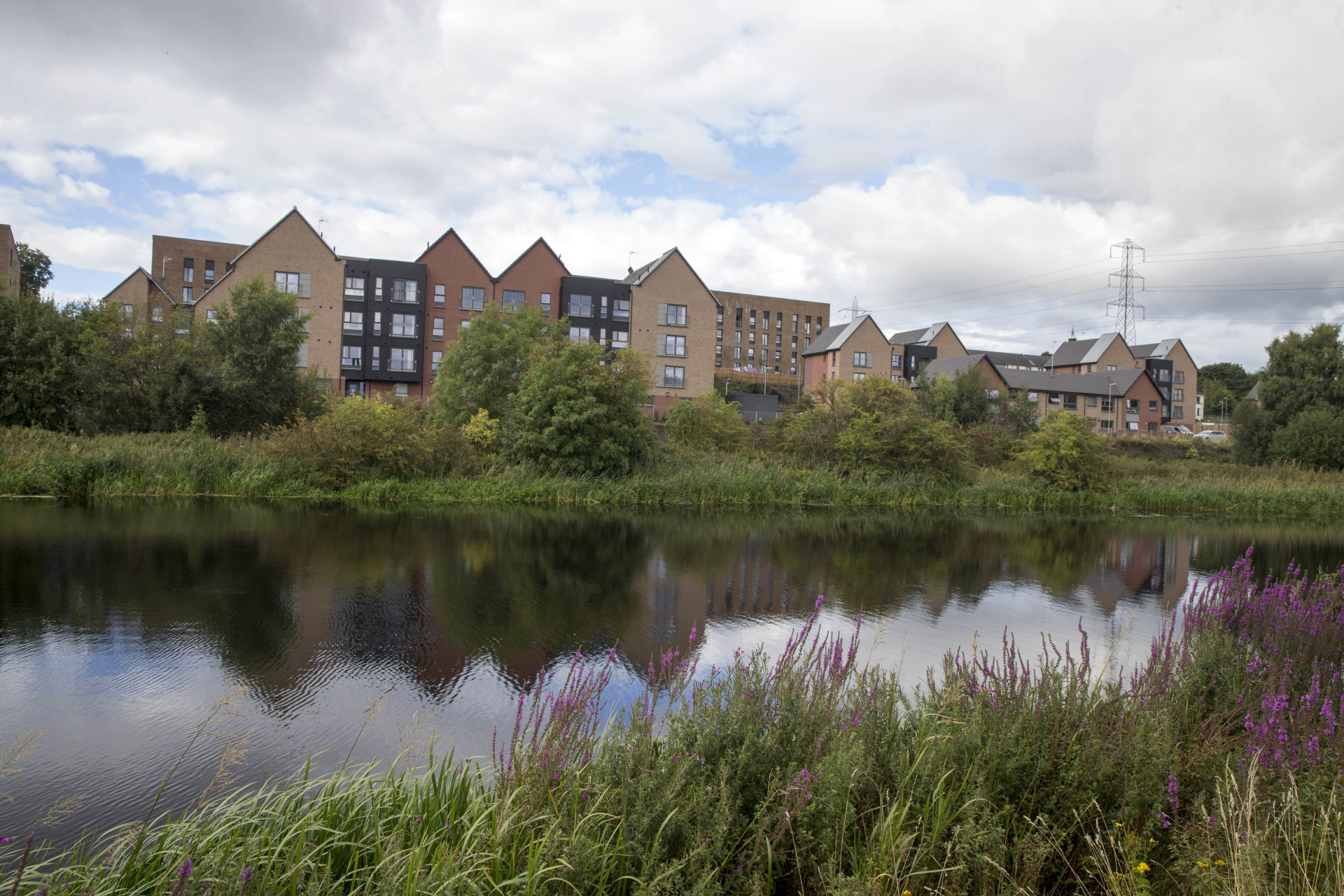 Timber Basin has fantastic views over the Forth & Clyde Canal