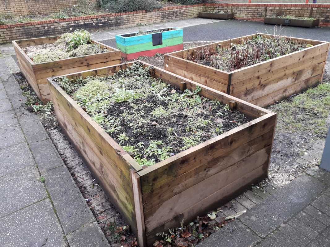 Wester Common Community Garden