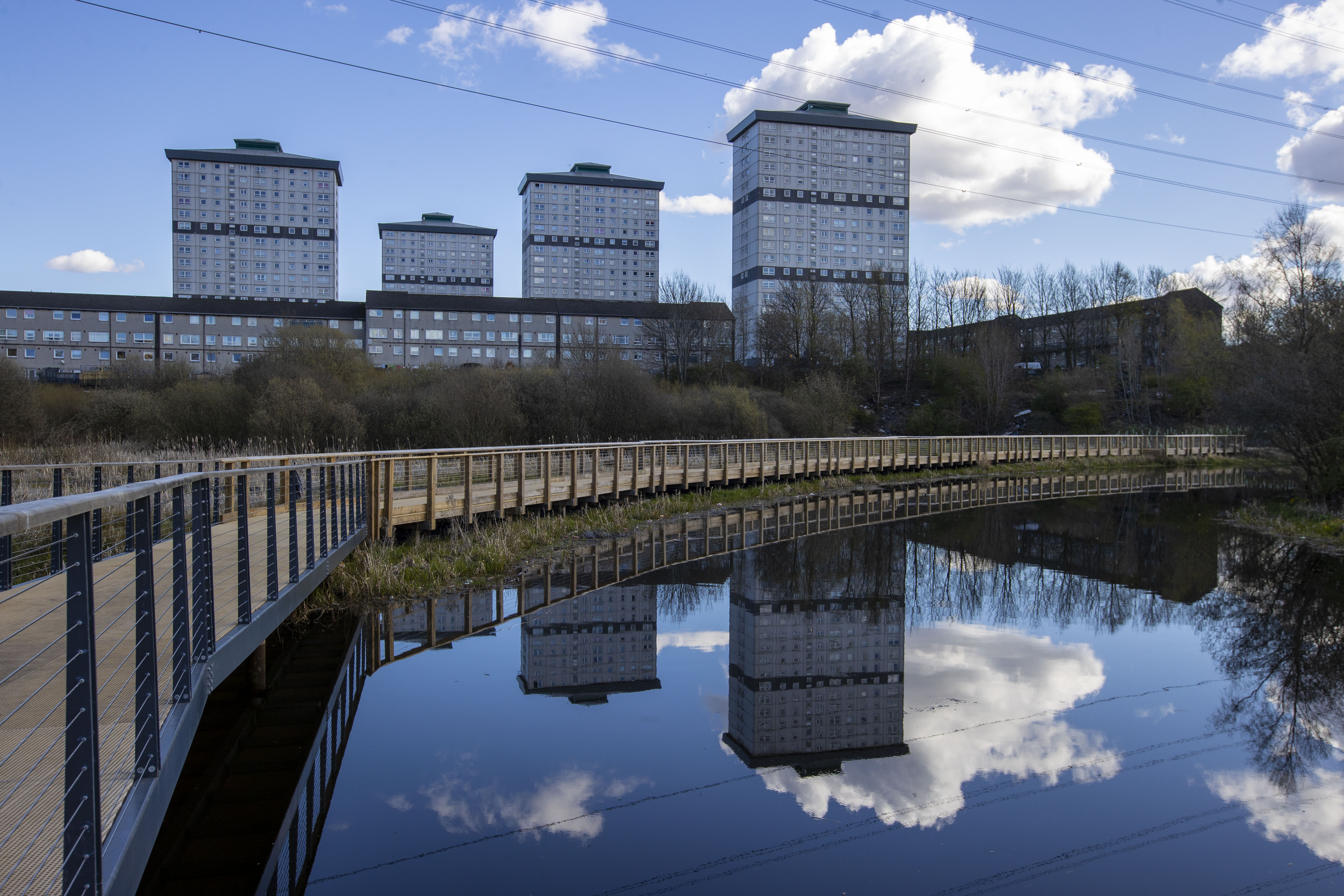 Westercommon stock