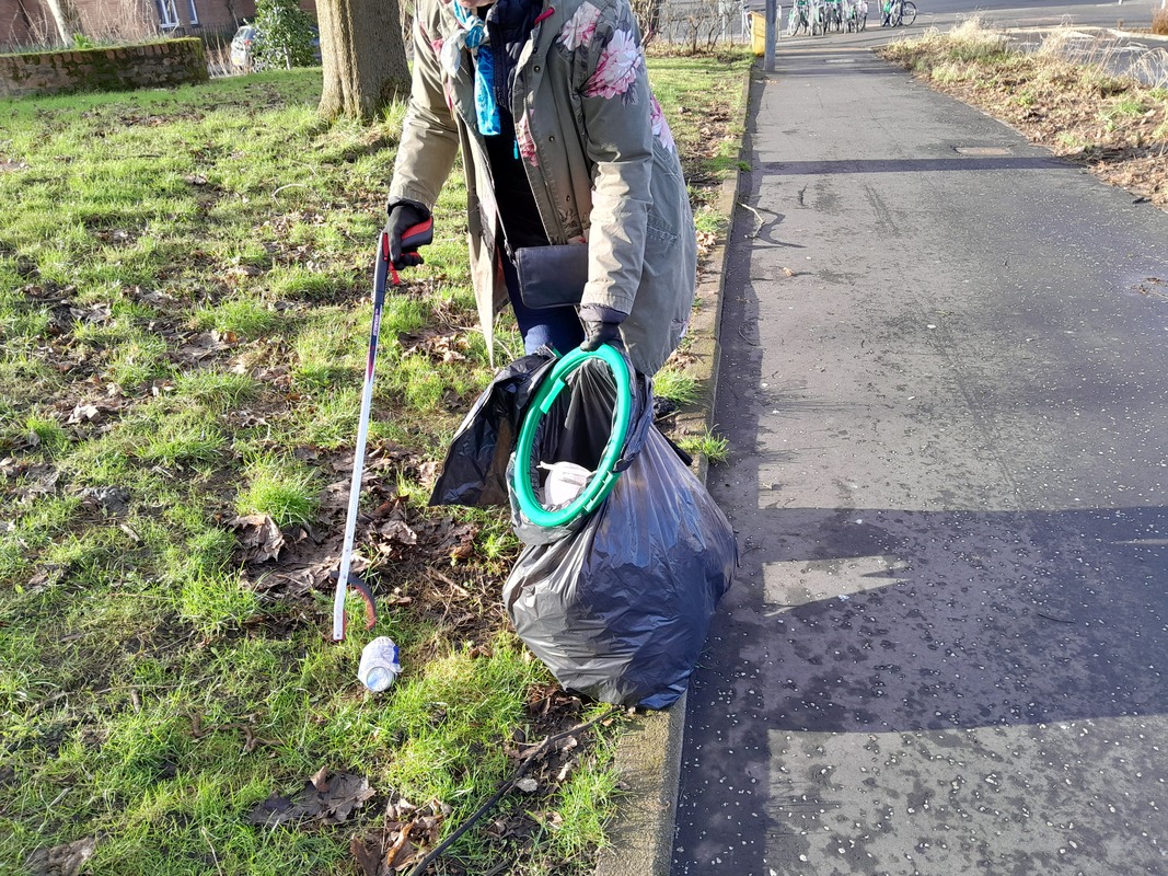 Litter picks